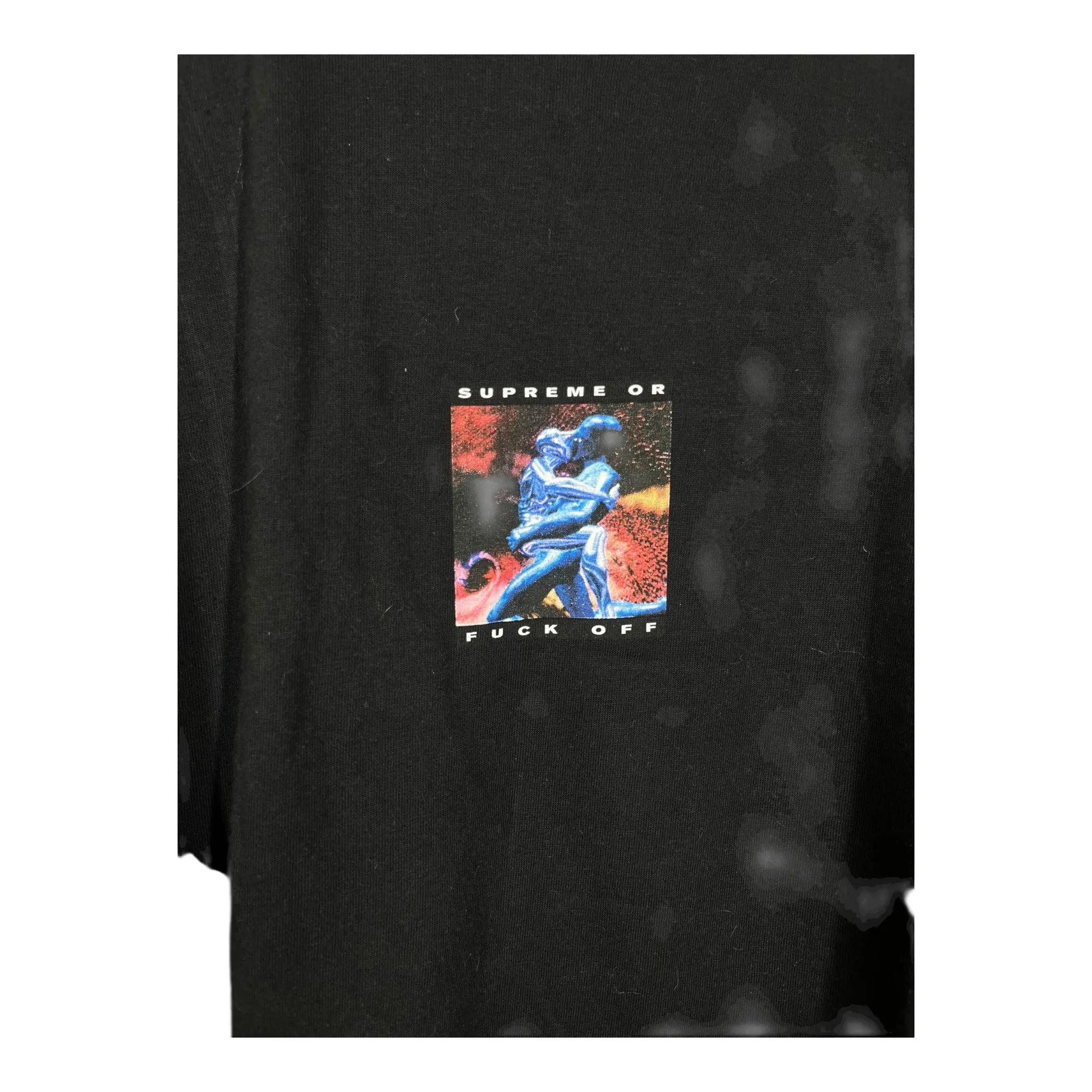 Supreme/T-Shirt/L/Cotton/BLK/supreme or fuck off